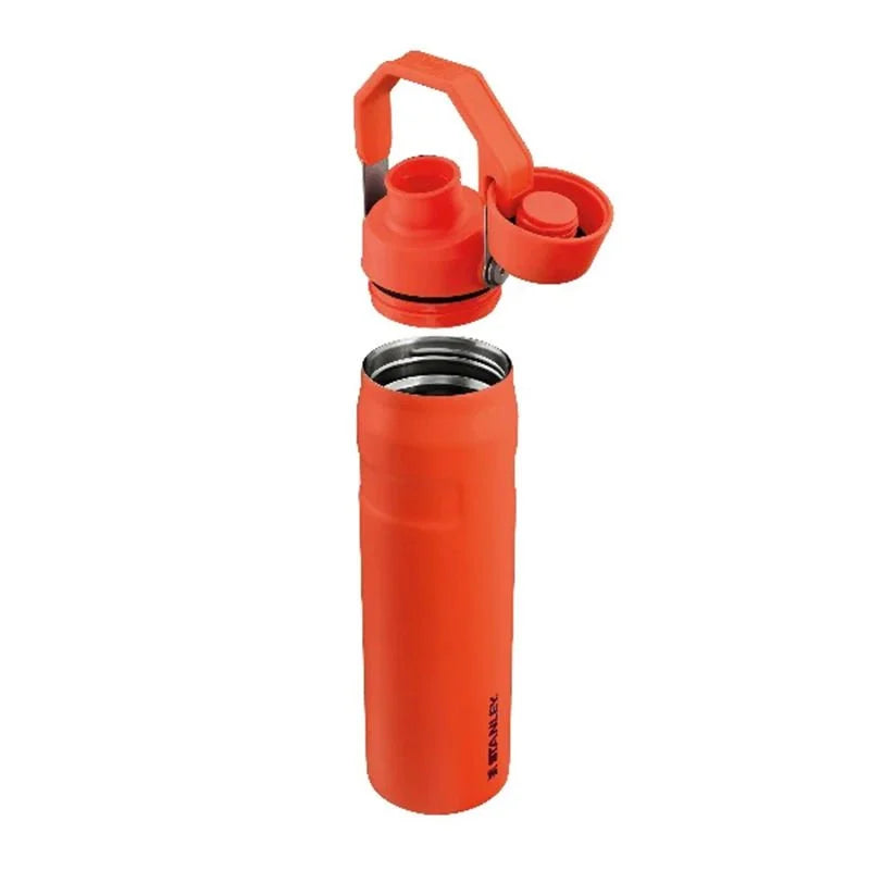 Stanley The Aerolight IceFlow Soğuk Su Termosu 0,60 LT Tigerlily Plum