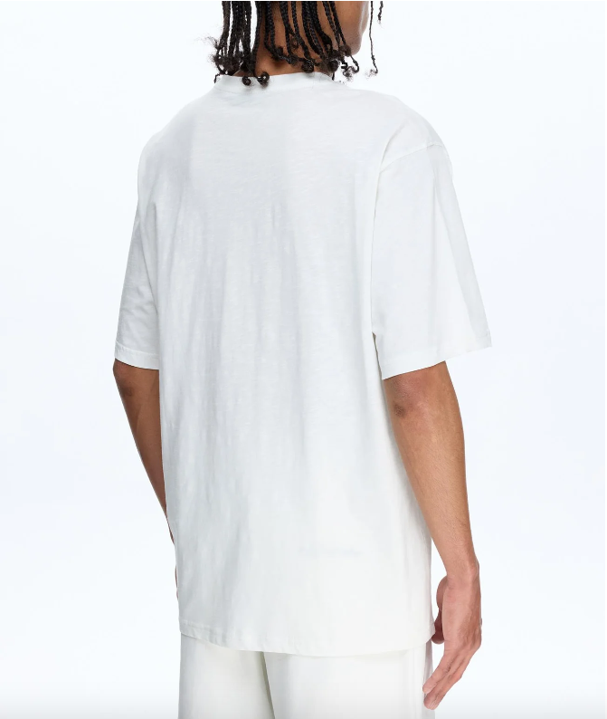 Les Benjamins Normal Fit Beyaz Renkli Erkek Tişört SHORT SLEEVE TEE 313