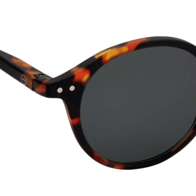 IZIPIZI SUN #D Tortoise Unisex Güneş Gözlüğü - Eklektik House