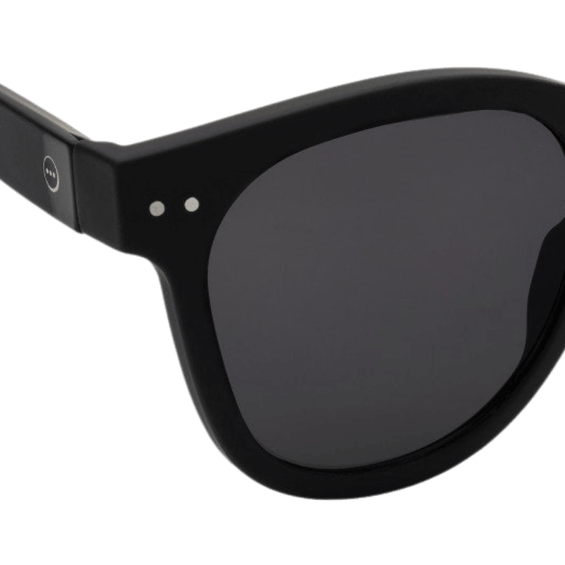 IZIPIZI SUN #N Black Unisex Güneş Gözlüğü - Eklektik House