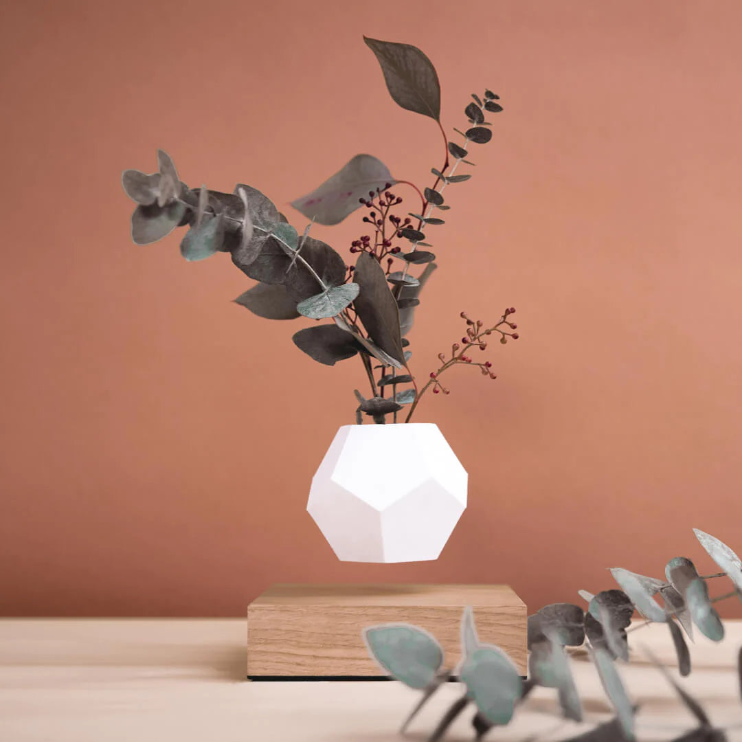 Flyte Lyfe Planter Saksı - Siyah - Eklektik House