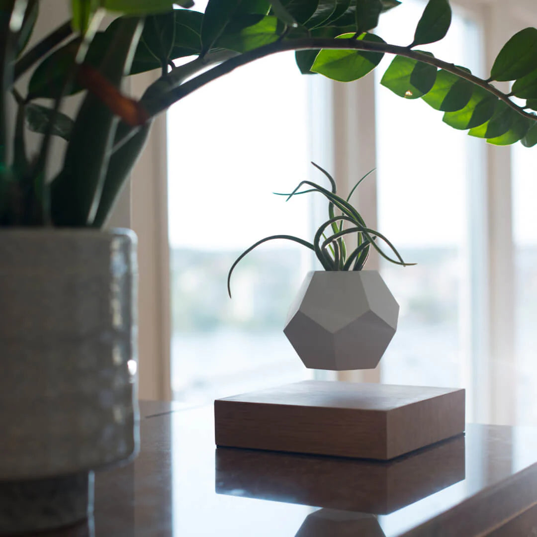 Flyte Lyfe Planter Saksı - Siyah - Eklektik House