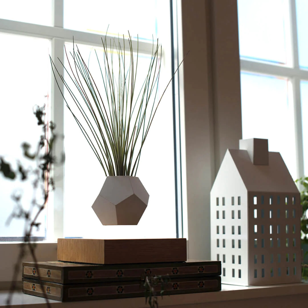 Flyte Lyfe Planter Saksı - Ceviz - Eklektik House