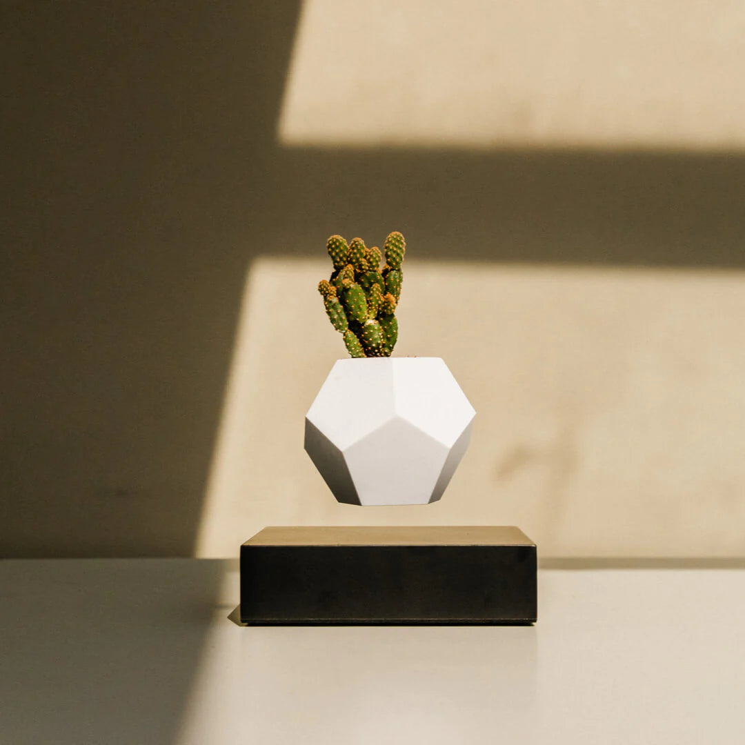Flyte Lyfe Planter Saksı - Siyah - Eklektik House