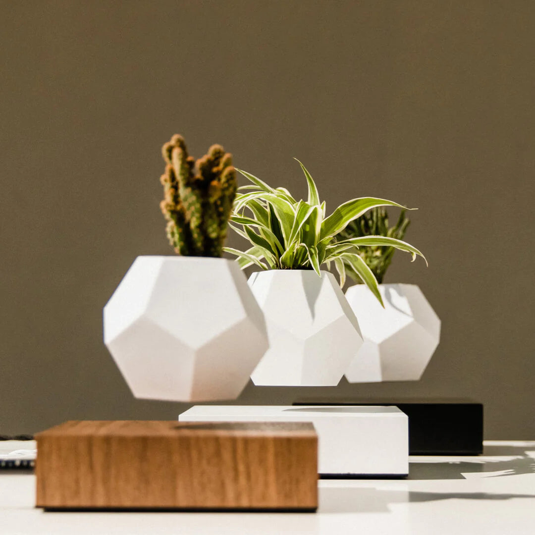 Flyte Lyfe Planter Saksı - Siyah - Eklektik House