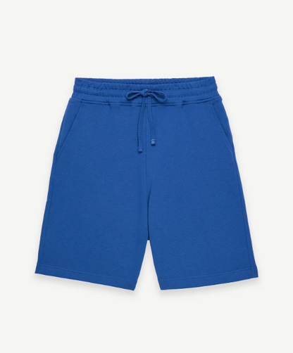Les Benjamins Normal Bel Fit Mavi Renkli Erkek Şort SHORT 306