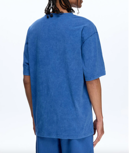 Les Benjamins Normal Fit Mavi Renkli Erkek Tişört SHORT SLEEVE TEE 317