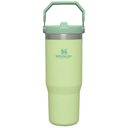 Stanley The IceFlow Flip Straw Pipetli Termos Bardak 0,89 LT Citron