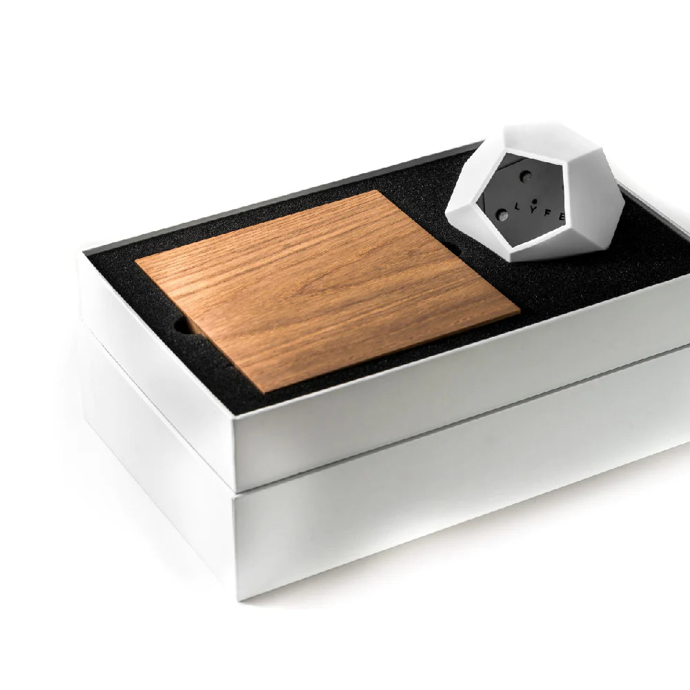 Flyte Lyfe Planter Saksı - Siyah - Eklektik House