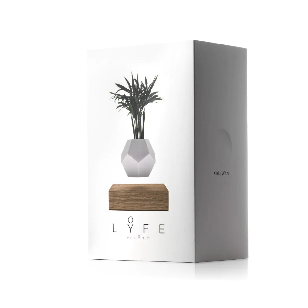 Flyte Lyfe Planter Saksı - Siyah - Eklektik House