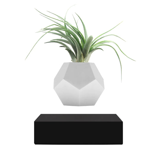 Flyte Lyfe Planter Saksı - Siyah - Eklektik House