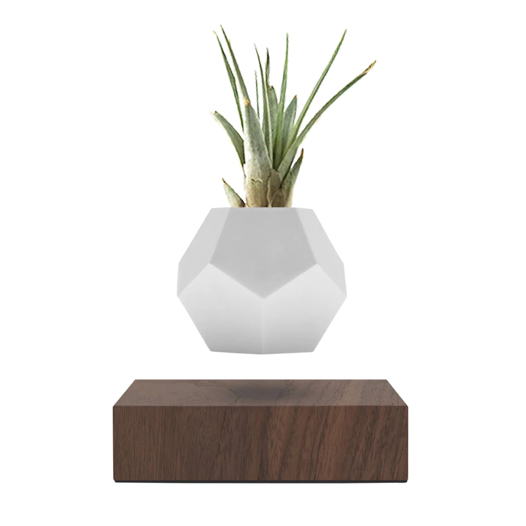 Flyte Lyfe Planter Saksı - Ceviz - Eklektik House